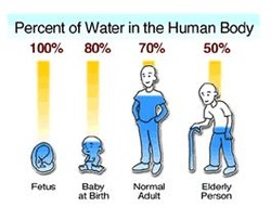 Water in our bodies
